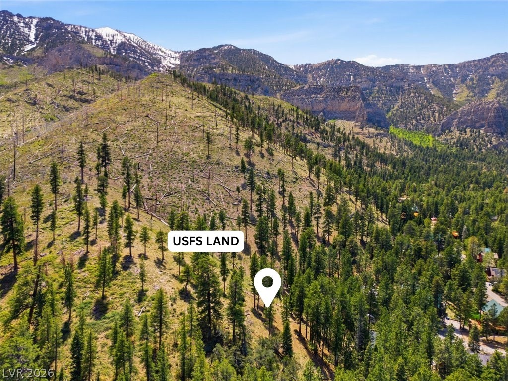 3953 Ski Trail Circle Property Photo 10