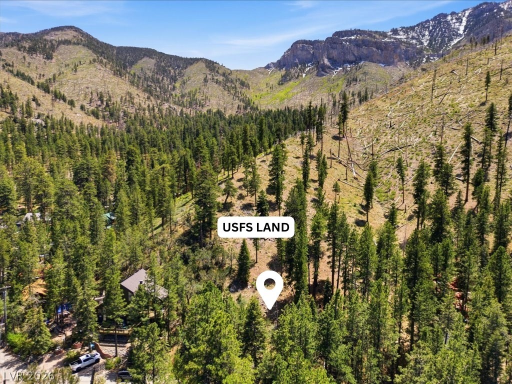 3953 Ski Trail Circle Property Photo 11