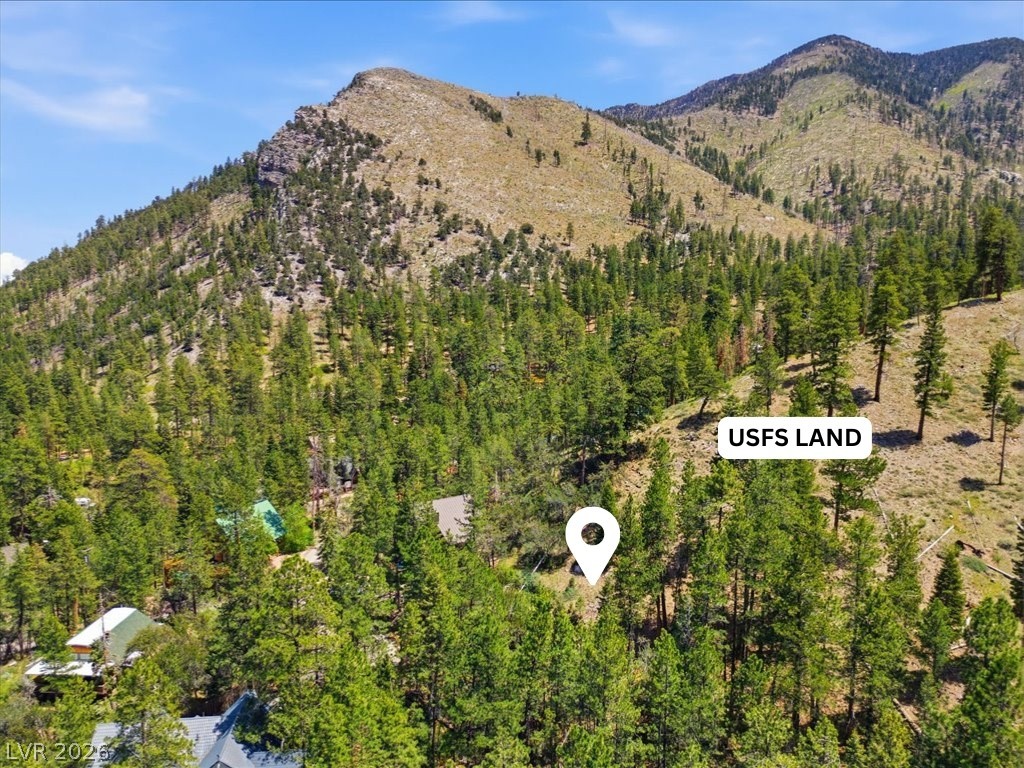3953 Ski Trail Circle Property Photo 12