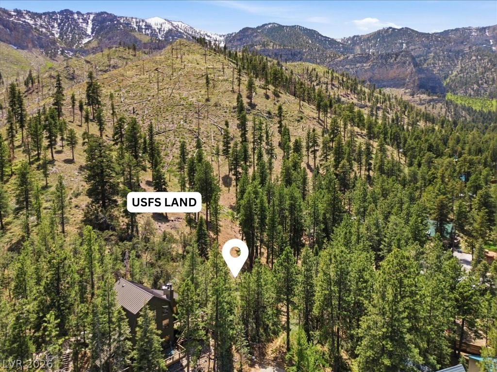 3953 Ski Trail Circle Property Photo 13