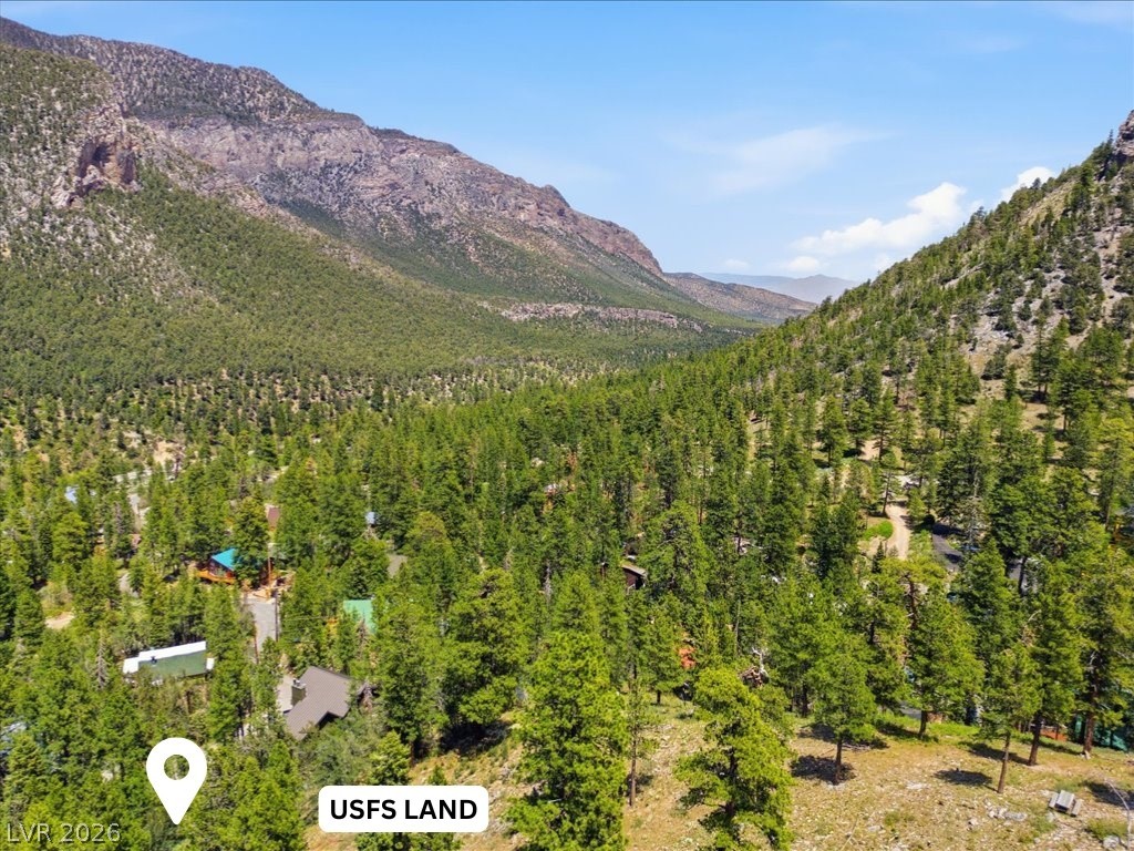 3953 Ski Trail Circle Property Photo 14