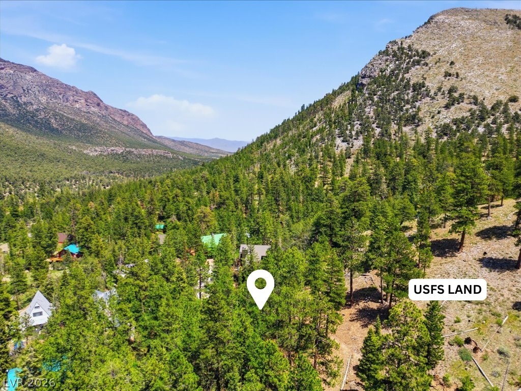 3953 Ski Trail Circle Property Photo 15
