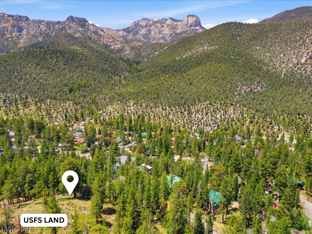 3953 Ski Trail Circle Property Photo 16