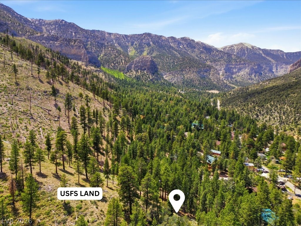 3953 Ski Trail Circle Property Photo 17