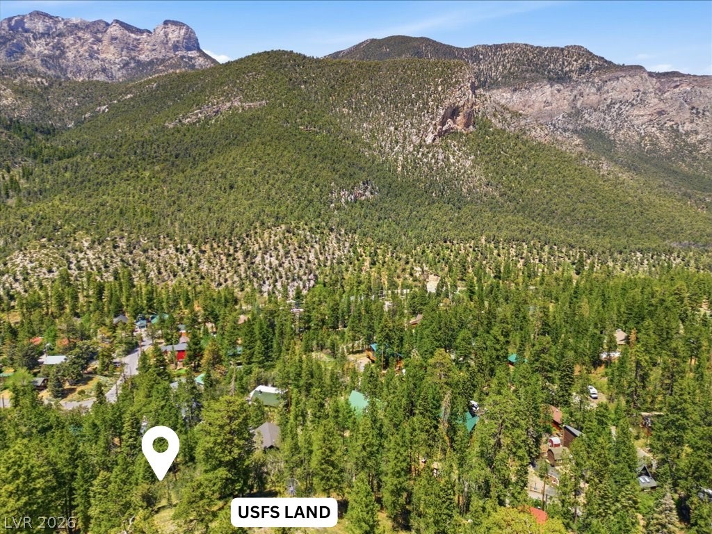 3953 Ski Trail Circle Property Photo 18