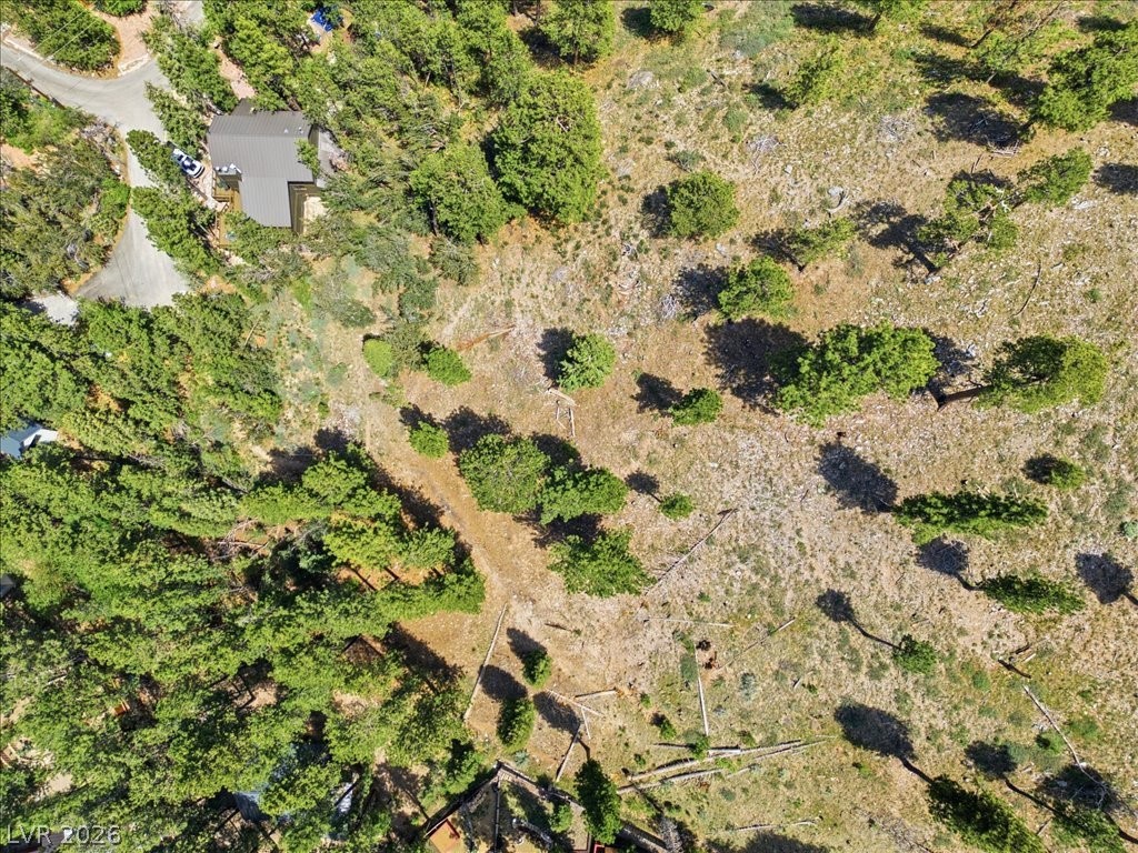 3953 Ski Trail Circle Property Photo 19