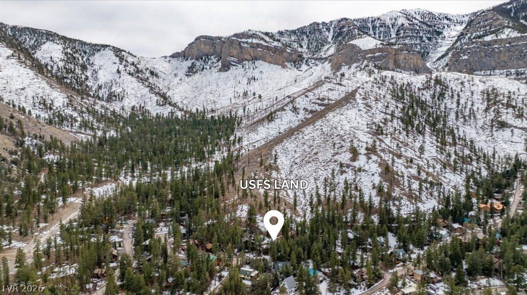 3953 Ski Trail Circle Property Photo 20