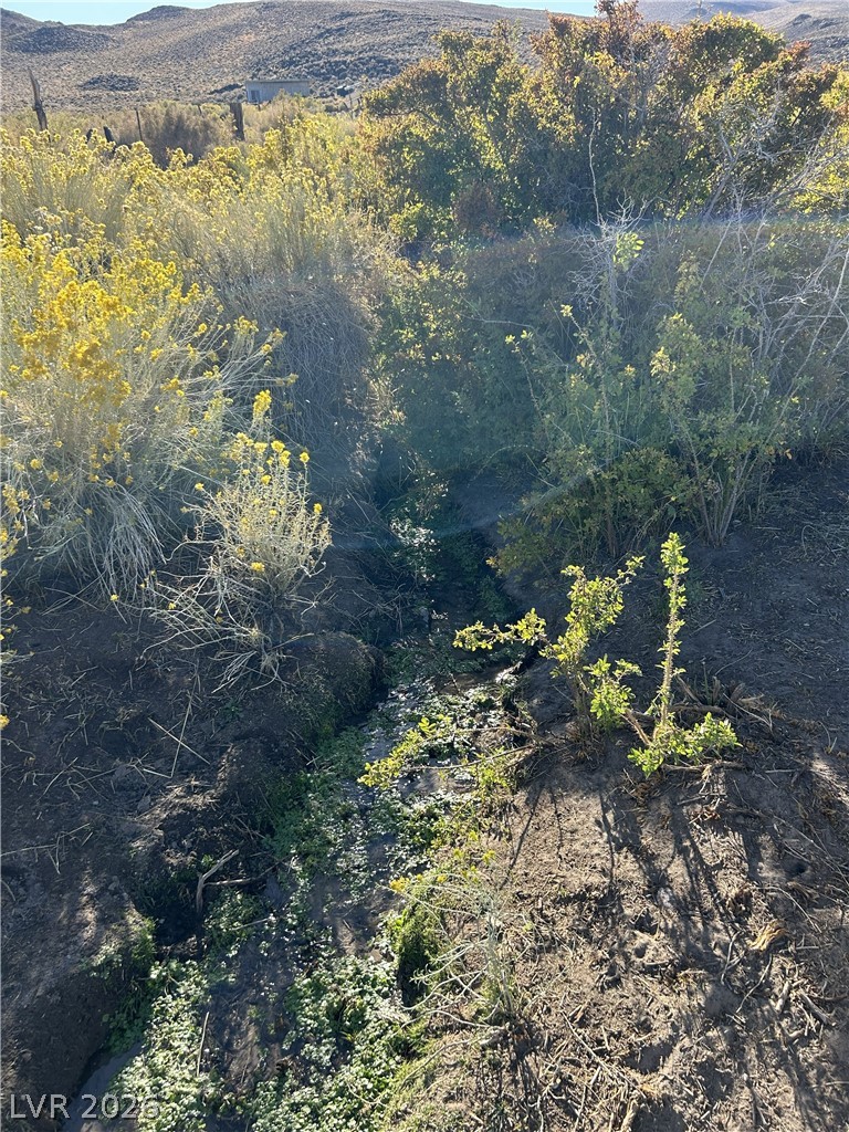 0 Sand Springs Road Property Photo 19