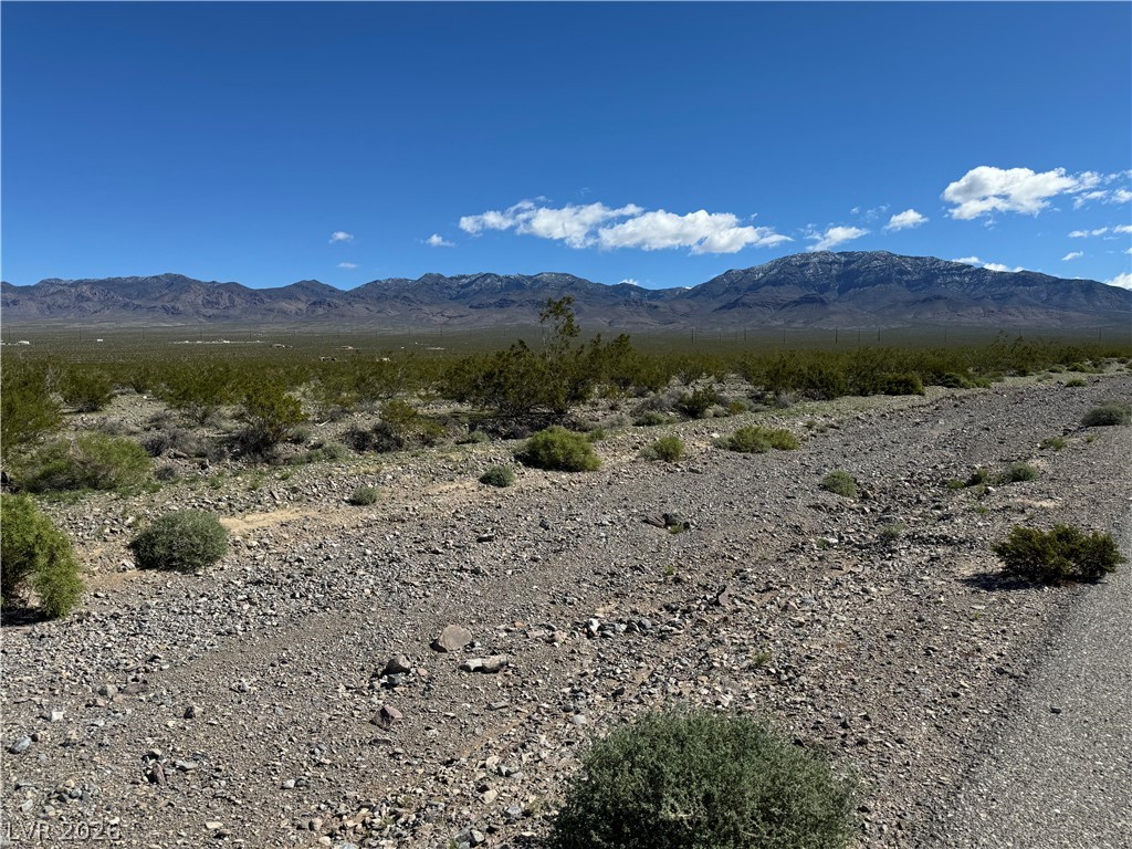 1370 Panorama Road Property Photo 3