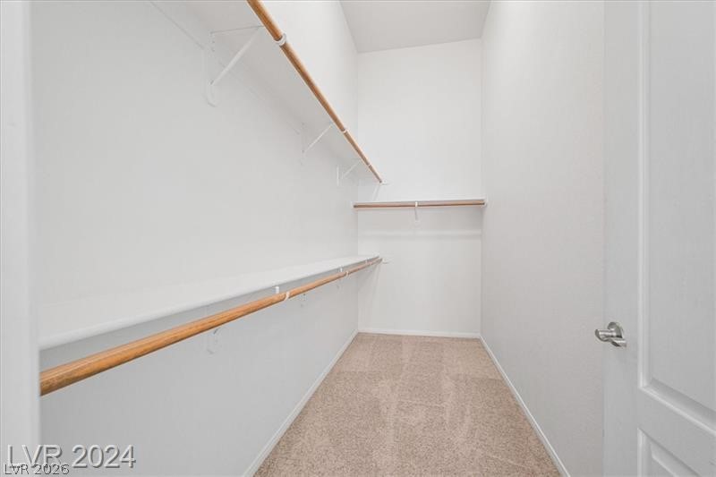 3540 Cactus Shadow Street 204 Property Photo 20