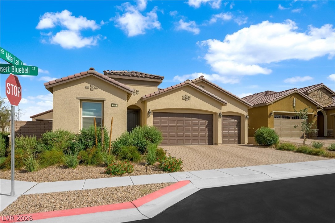602 Desert Bluebell Court Property Photo 2