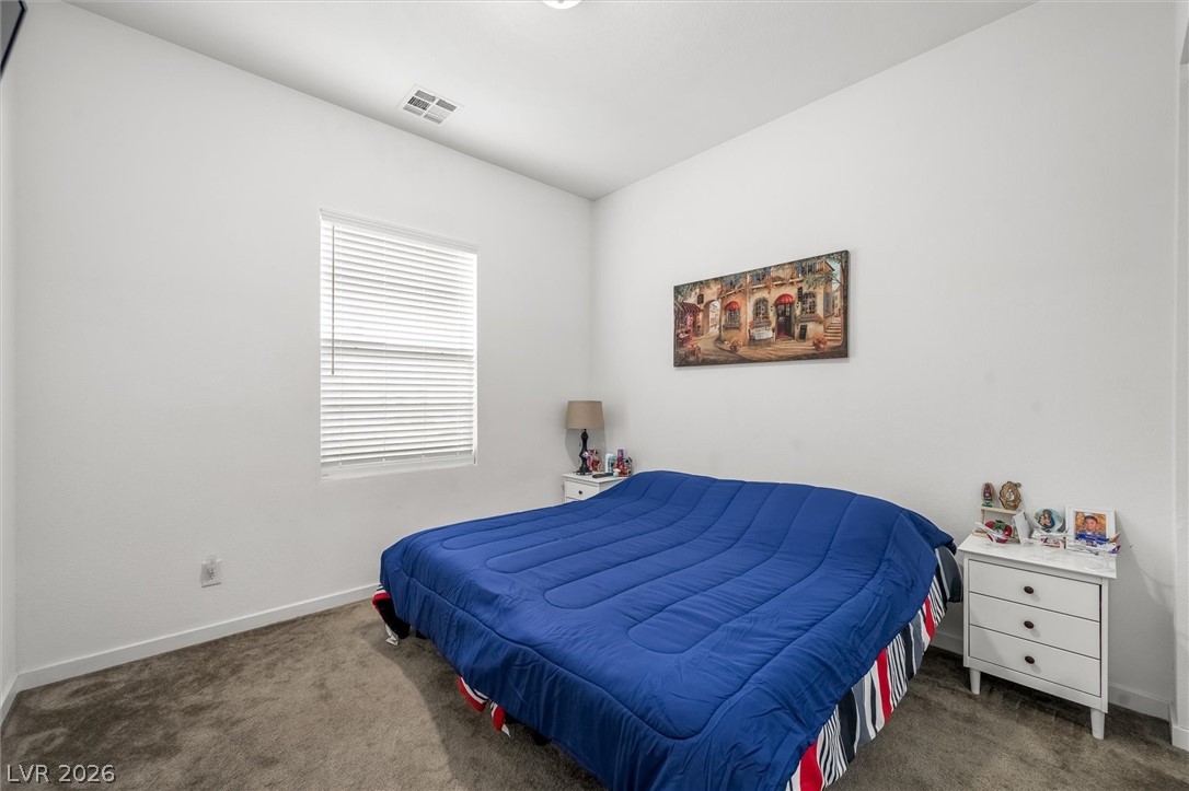 602 Desert Bluebell Court Property Photo 26