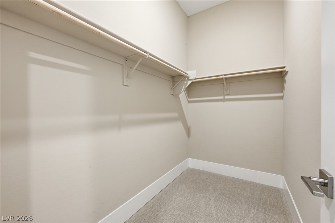 10103 Redwood Desert Drive Property Photo 19