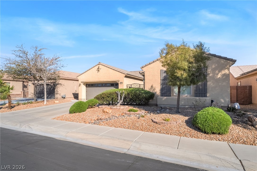 5536 Criollo Drive Property Photo 3