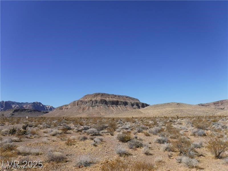 State Hwy 160 Blue Diamond Property Photo 1