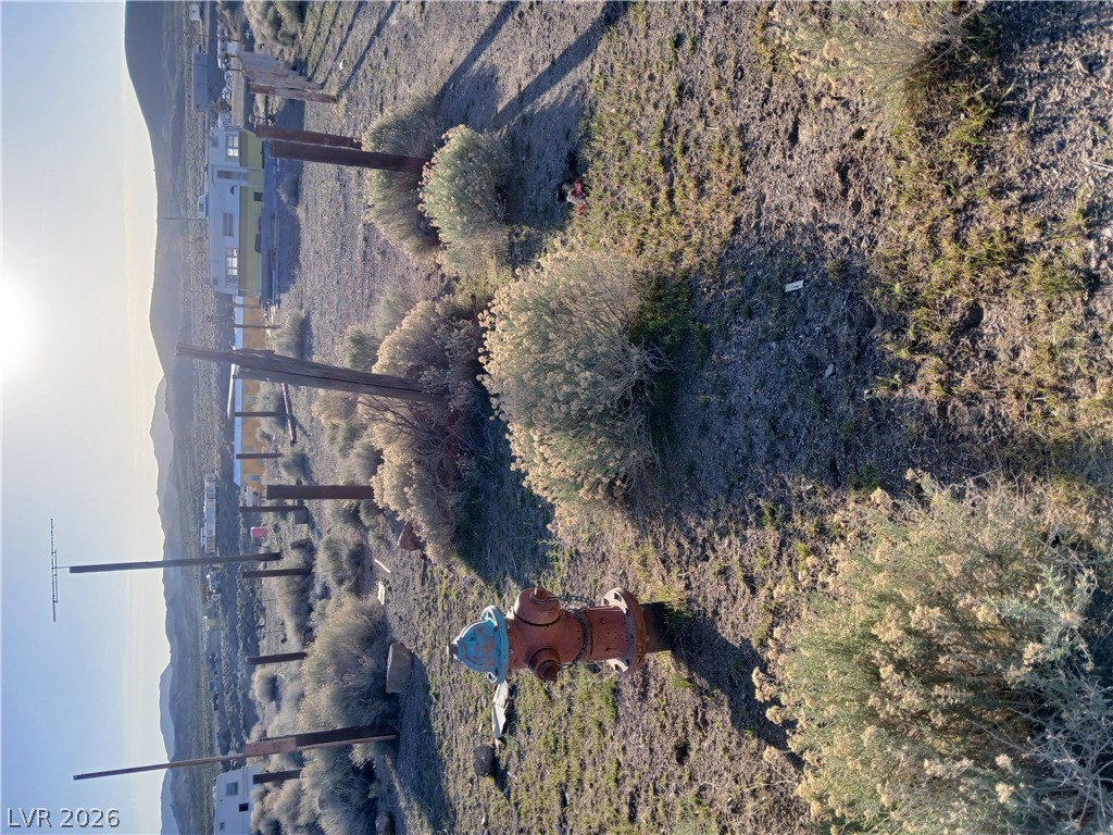 118 South Sundog Ave/us 95 Property Photo 5