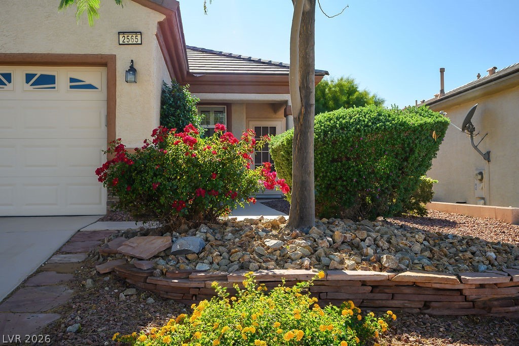 2565 Cosmic Dust Street Property Photo 3