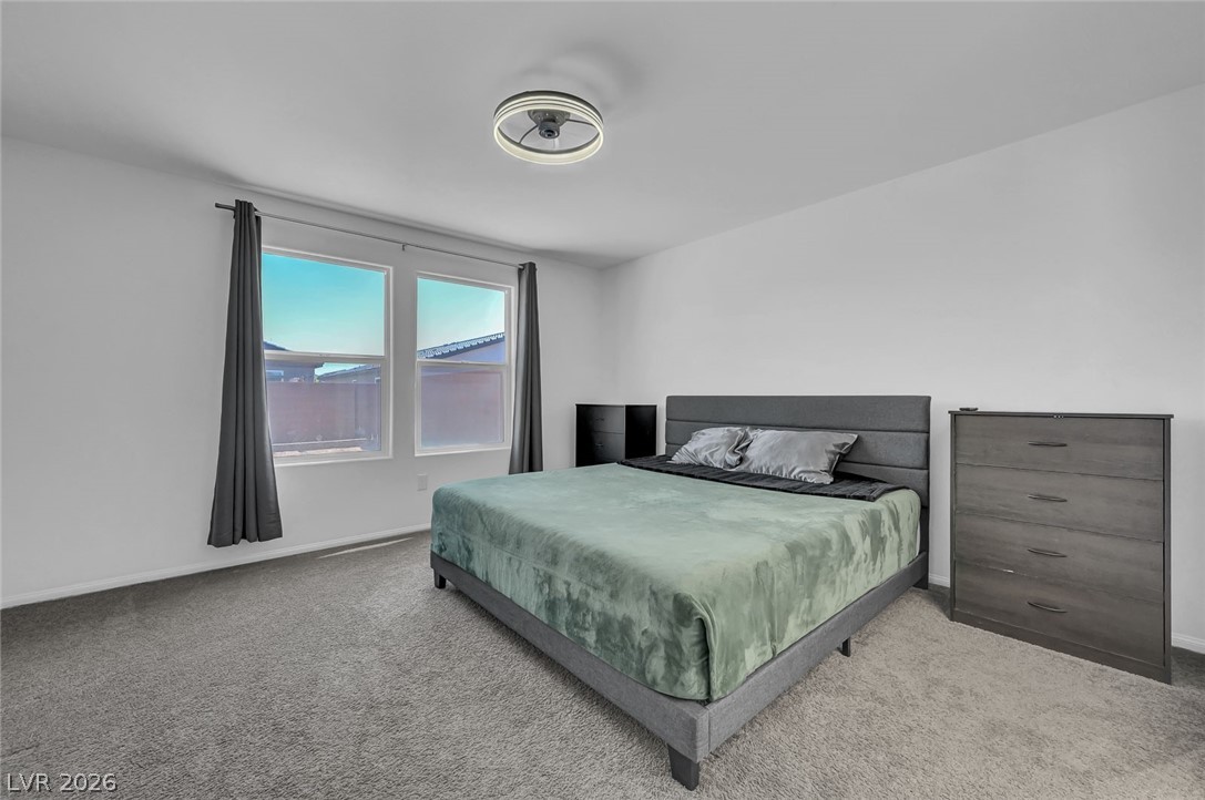 436 Triple Falls Street Property Photo 41
