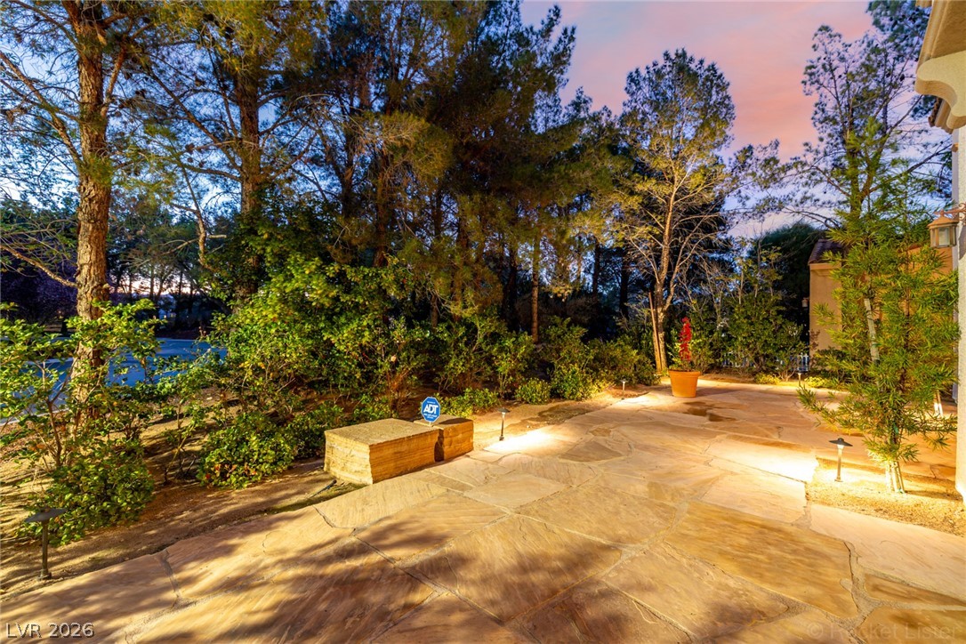 11849 Waterford Castle Court Property Photo 4
