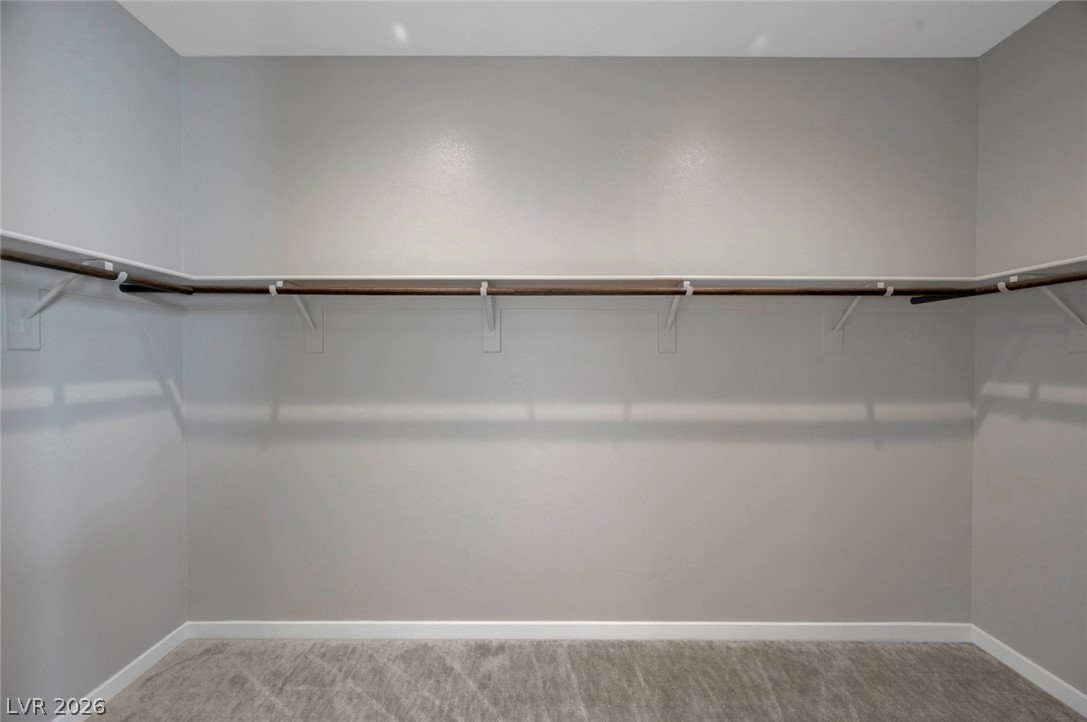 9075 Rolling Pietra Street Property Photo 44