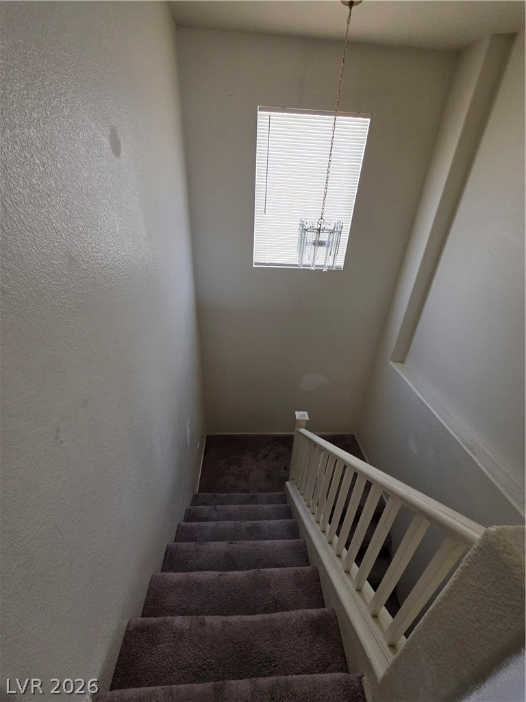 2506 Lady Elizabeth Court Property Photo 33