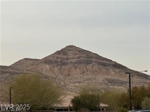 9161 Horizon Mist Avenue Property Photo 54