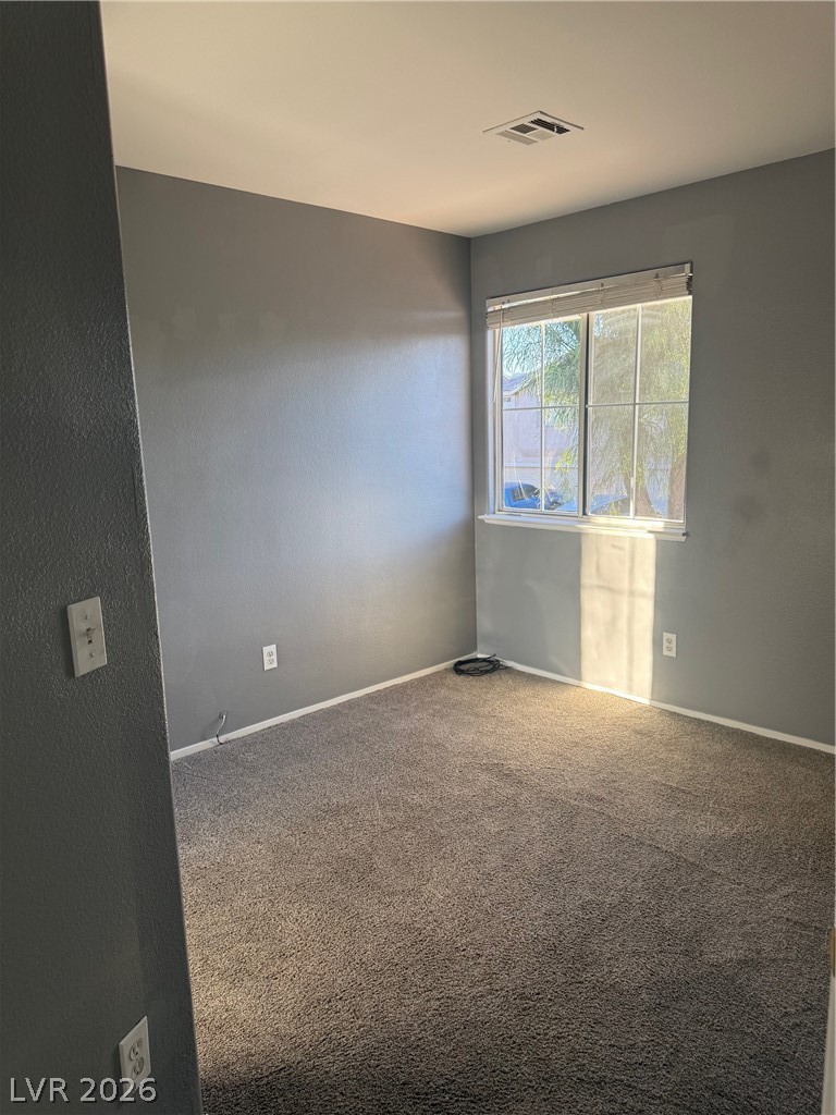 736 Spotted Eagle Street Property Photo 15