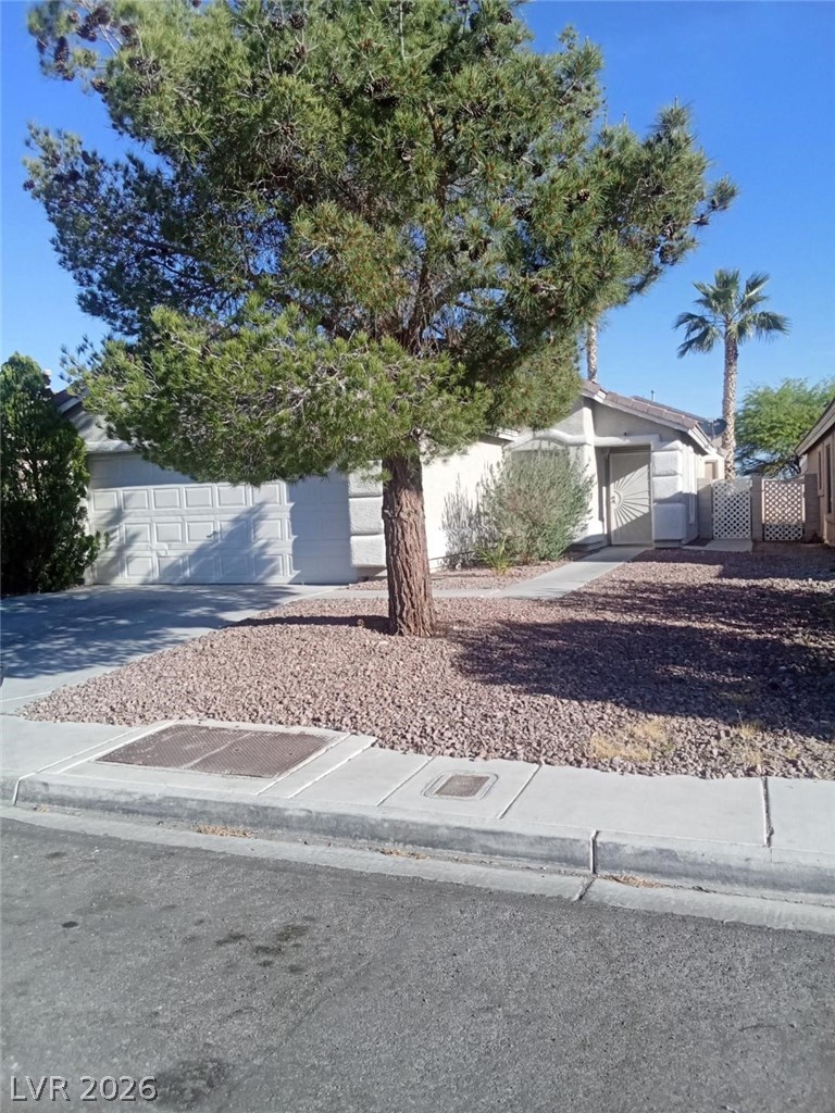 1032 Silver Creek Avenue Property Photo 2