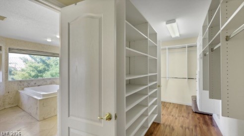 3047 Loggia Court Property Photo 16
