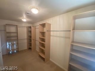 784 San Jacoma Place - Property Photo 8