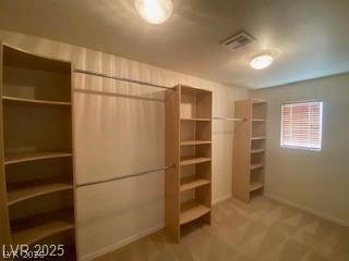 784 San Jacoma Place - Property Photo 9