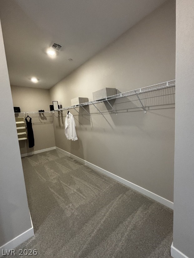 384 Rockspray Lane Property Photo 10