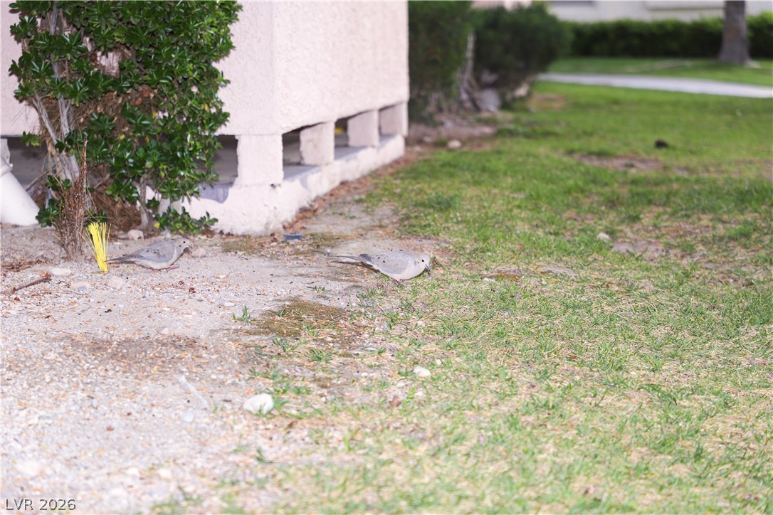 4861 South Torrey Pines Drive 106 Property Photo 95