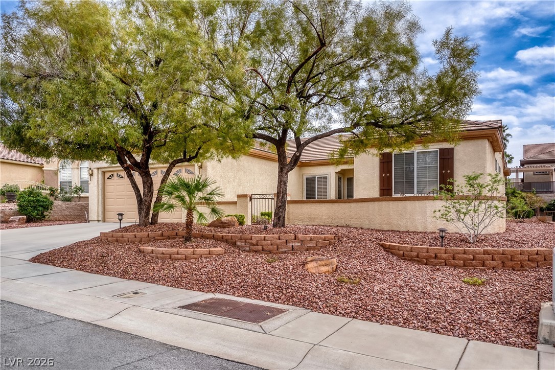 1684 Wellington Springs Avenue Property Photo 3