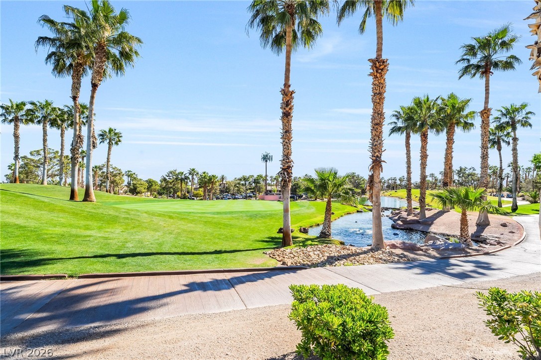 48 Back Spin Court Property Photo 45