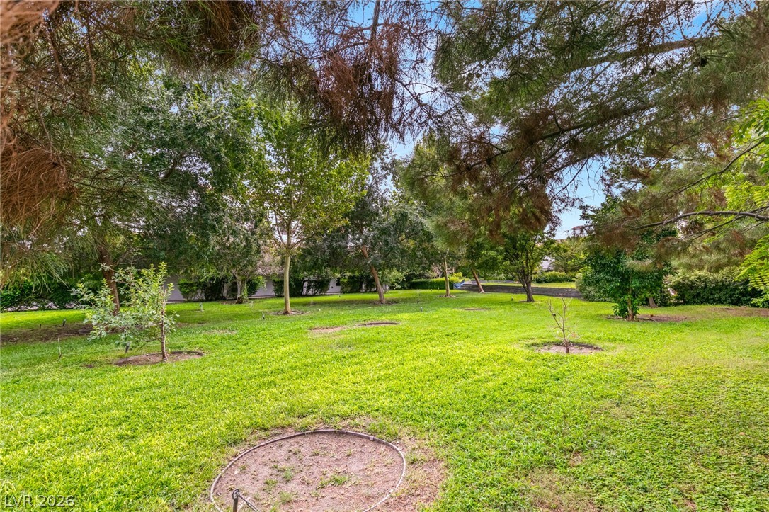 2768900 Property Photo 69