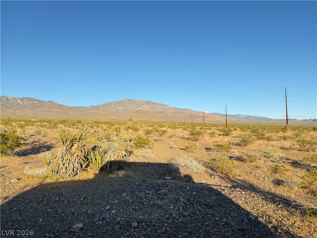 1711 East Chess Way Property Photo 2