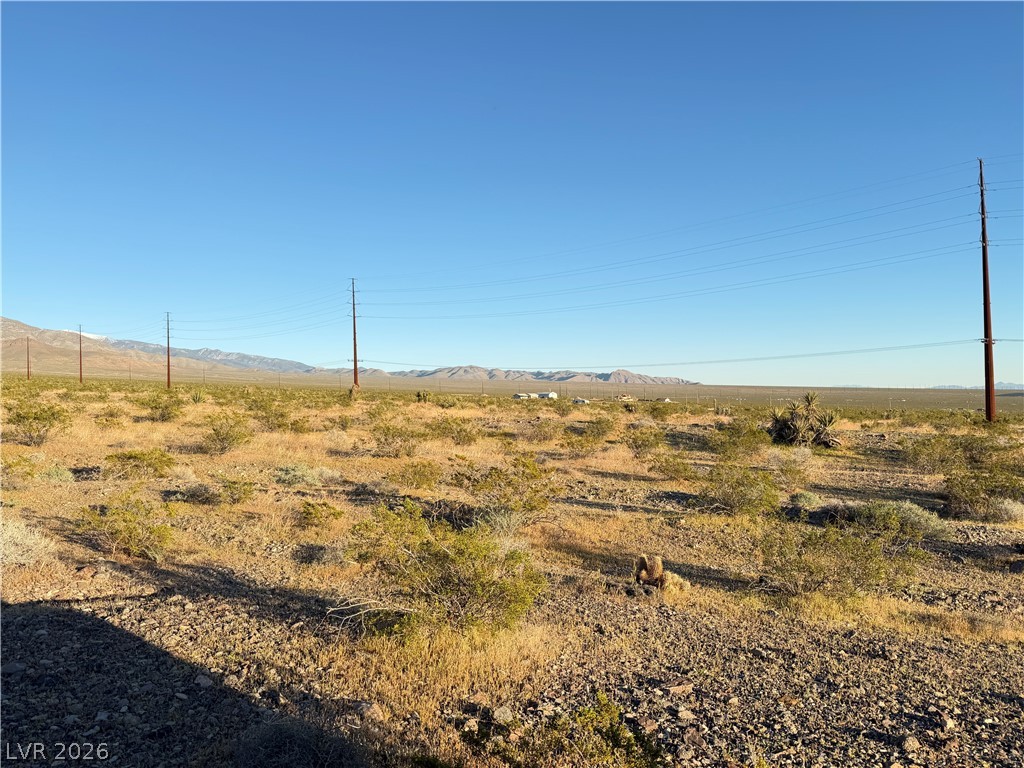 1711 East Chess Way Property Photo 3