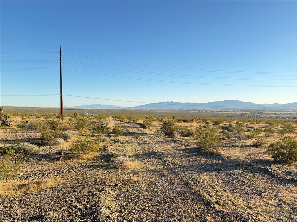 1711 East Chess Way Property Photo 4