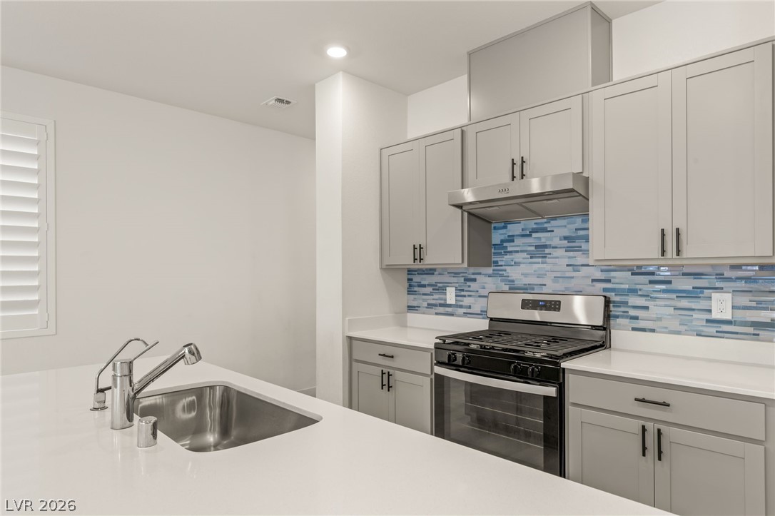 10193 Chockstone Street Property Photo 19