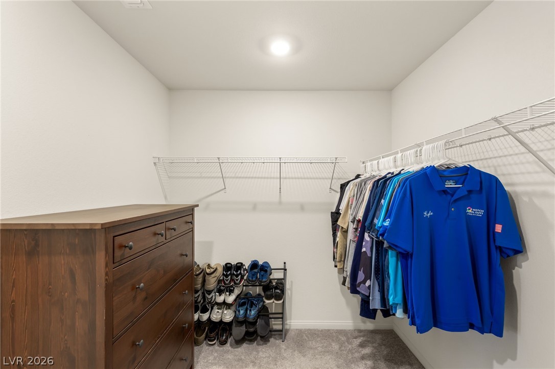 10193 Chockstone Street Property Photo 26