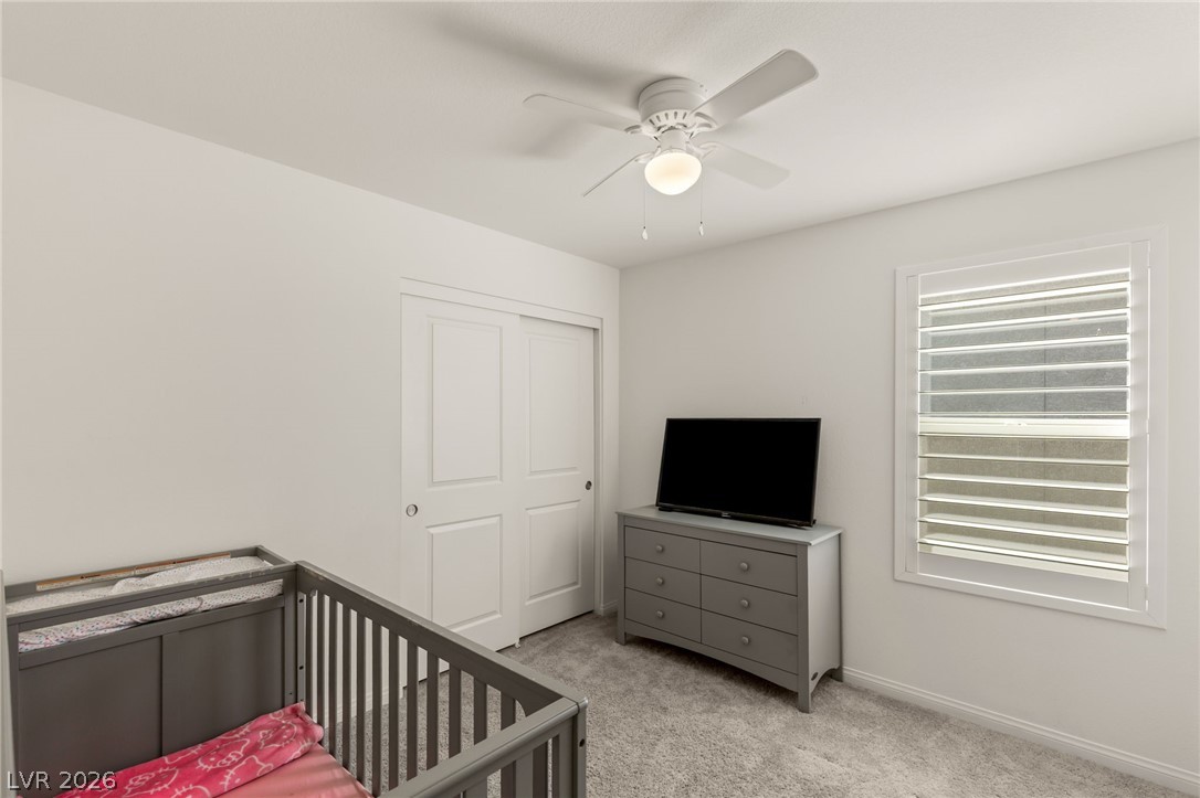 10193 Chockstone Street Property Photo 27