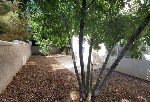 7817 Falconwing Avenue Property Photo 52