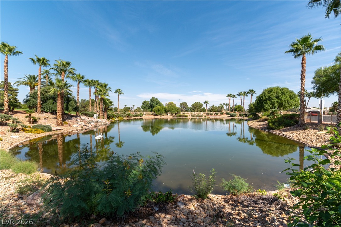 5460 Beach Pine Street Property Photo 46