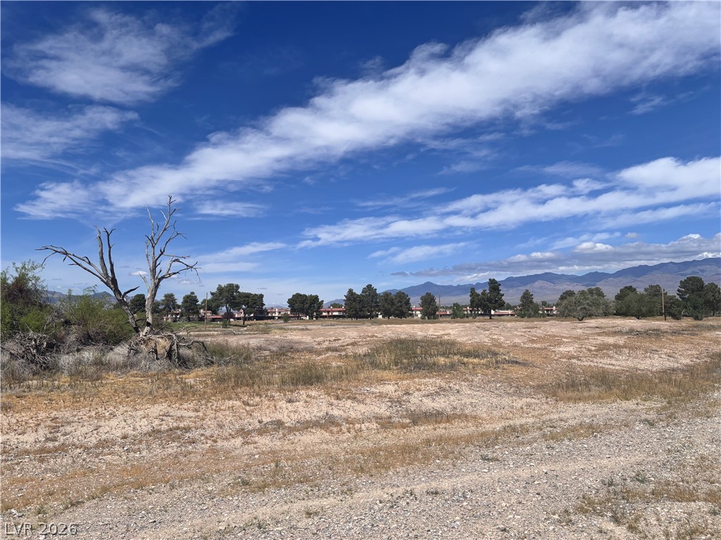 1401 South Saddle Court Property Photo 3
