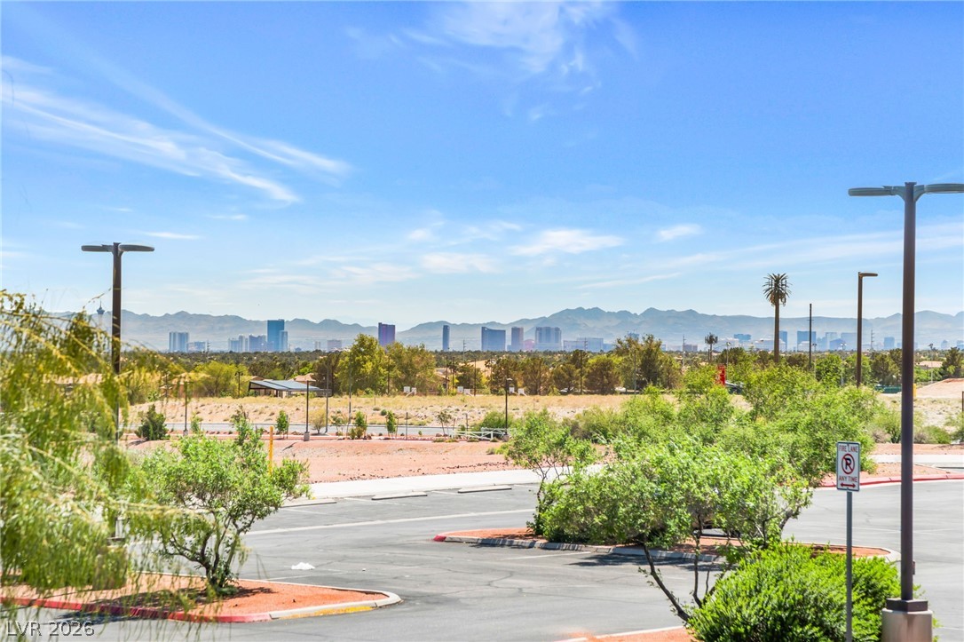 10083 Vibrant Moon Avenue Property Photo 16