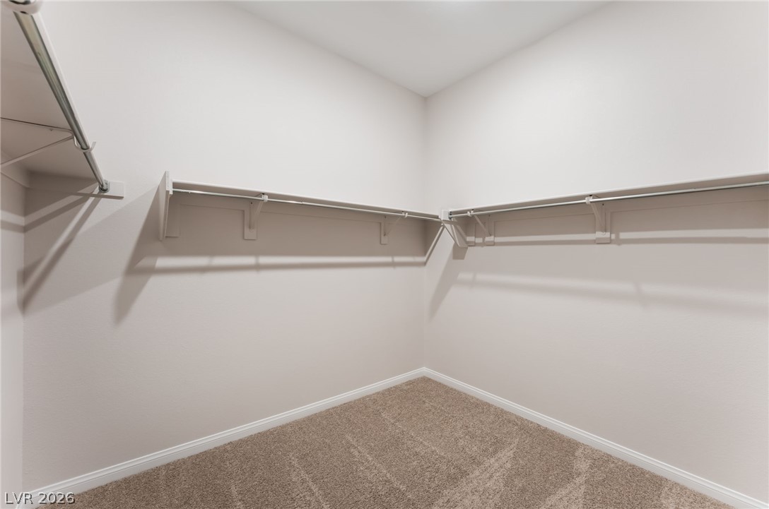 10393 Celestial Pole Street Property Photo 30