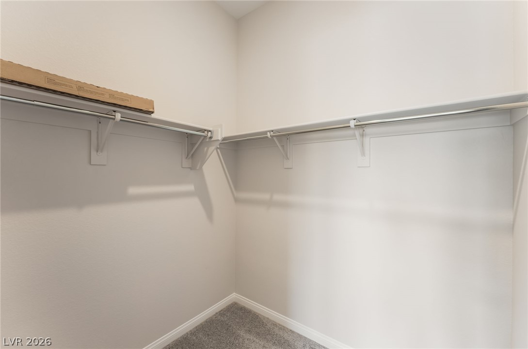 10393 Celestial Pole Street Property Photo 40