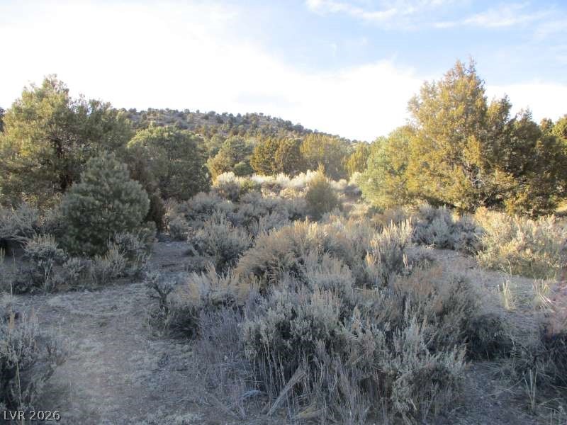 Nv Hwy 322 (30.15 Ac) Property Photo 1