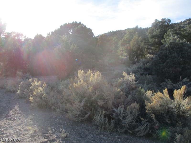 Nv Hwy 322 (30.15 Ac) Property Photo 6